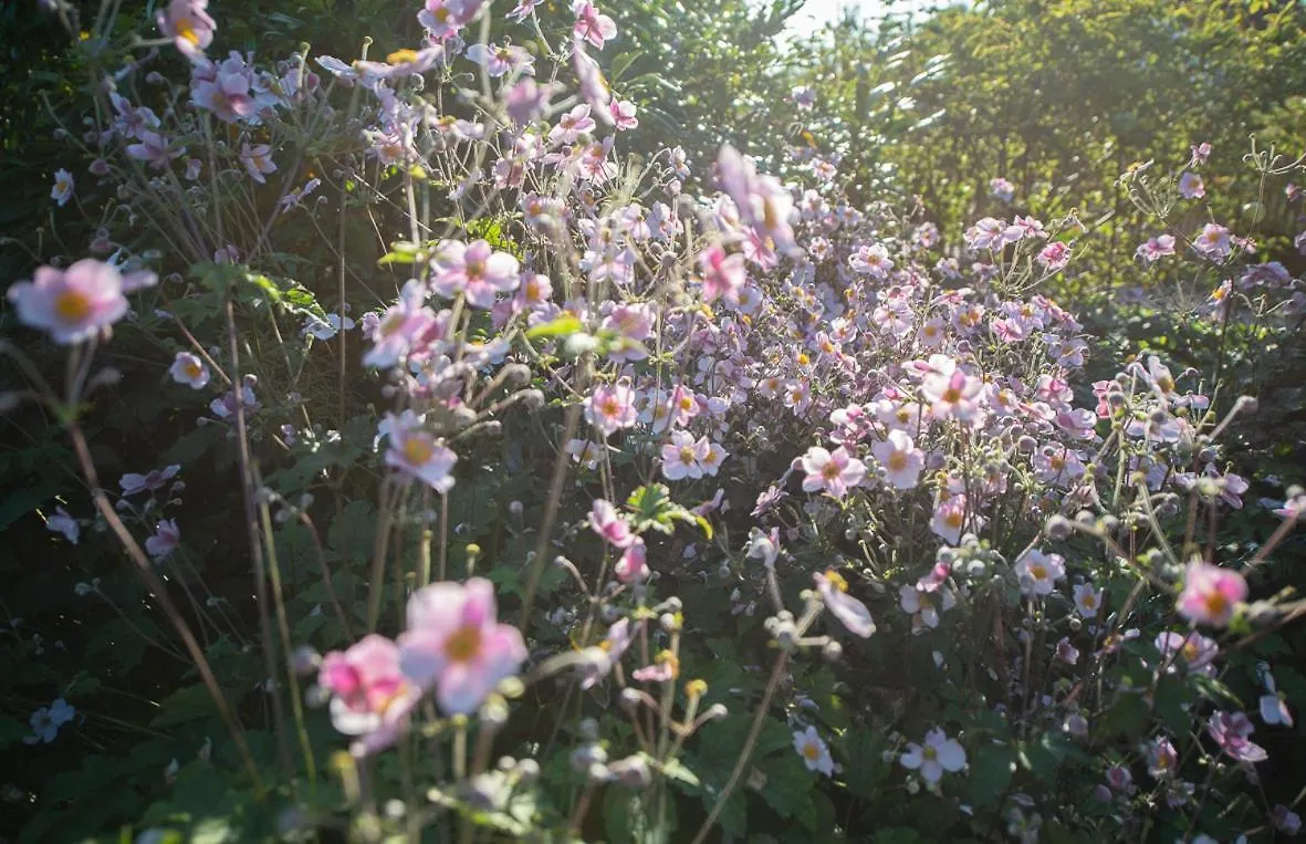 Einzigartige Naturoase Im Sueden Von Ingolstadt Brautlach Lejlighed